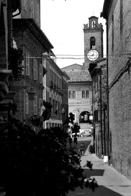 _MG_4429.jpg