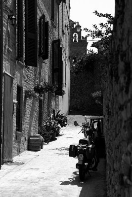 _MG_4435.jpg