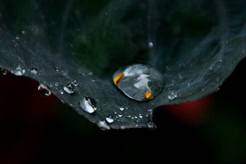 IMG_4104-1.jpg
