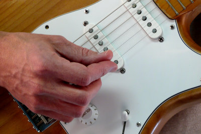 P1090844-1.jpg