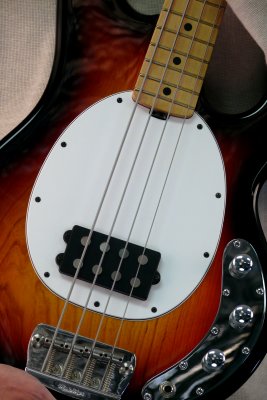P1090868-1.jpg