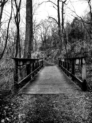 IMG_0434-1-2-BW.jpg