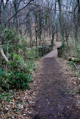 P1100813-1.jpg