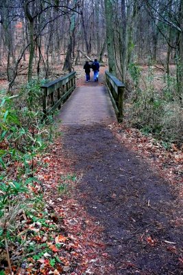 P1100820-2.jpg