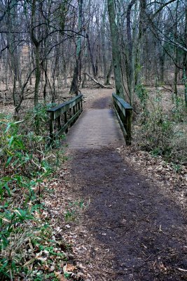 P1100822-1.jpg