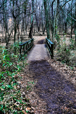 P1100822-1-2.jpg