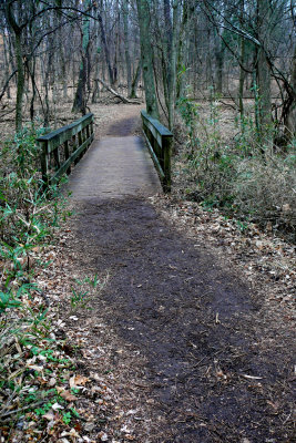 P1100823-1.jpg