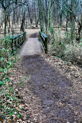 P1100823-1-2.jpg