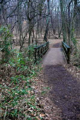 P1100824-1.jpg