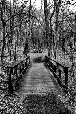 P1100831-2-2-BW.jpg