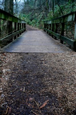 P1100844-1.jpg