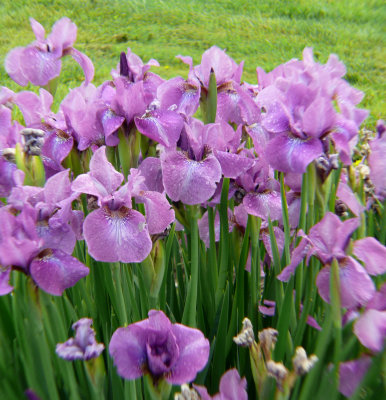 P1110512-1.jpg