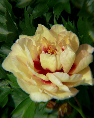 P1110563-1.jpg