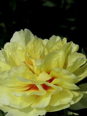 IMG_1654-1.jpg