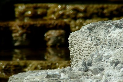 g1/91/833091/3/115659100.6IvWQHv1.jpg