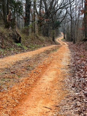 Old Historic Natchez Trace