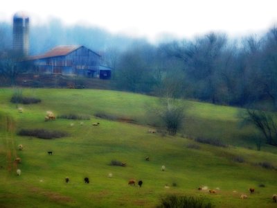 Natchez Trace Farm