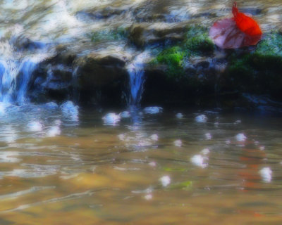 P1000631-2.JPG