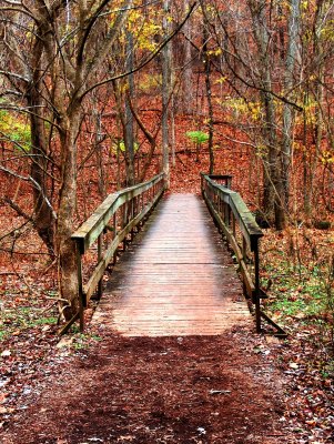 Radnor Lake, Nashville, Tennessee