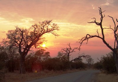 9-16-06 Kruger Sunset01.JPG