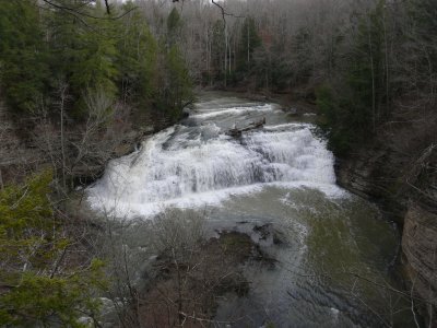 P1000684.JPG