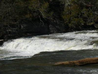 P1000567.JPG