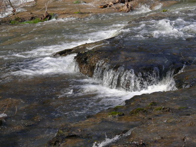 P1000576.JPG