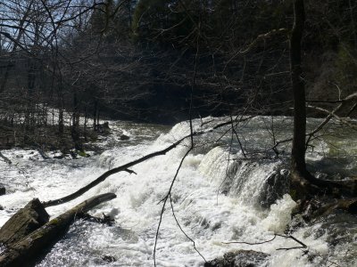 P1000587.JPG
