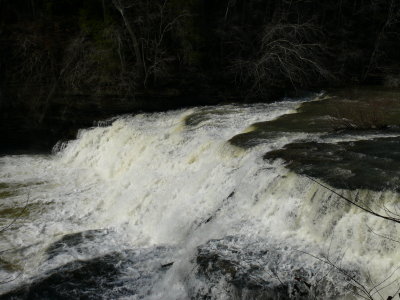 P1000594.JPG