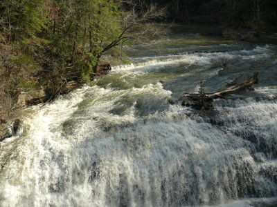 P1000616.JPG