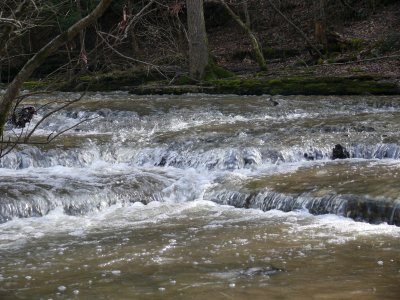 P1000630.JPG