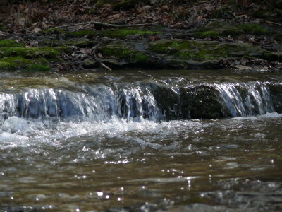 P1000634.JPG