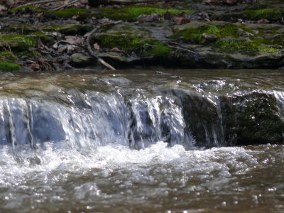 P1000635.JPG
