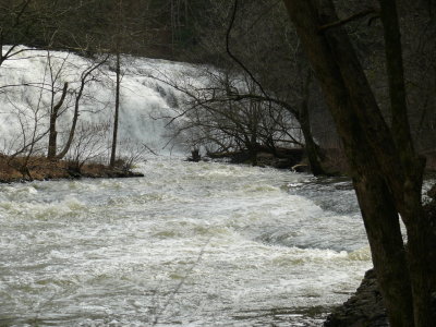 P1000641.JPG