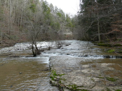 P1000675.JPG
