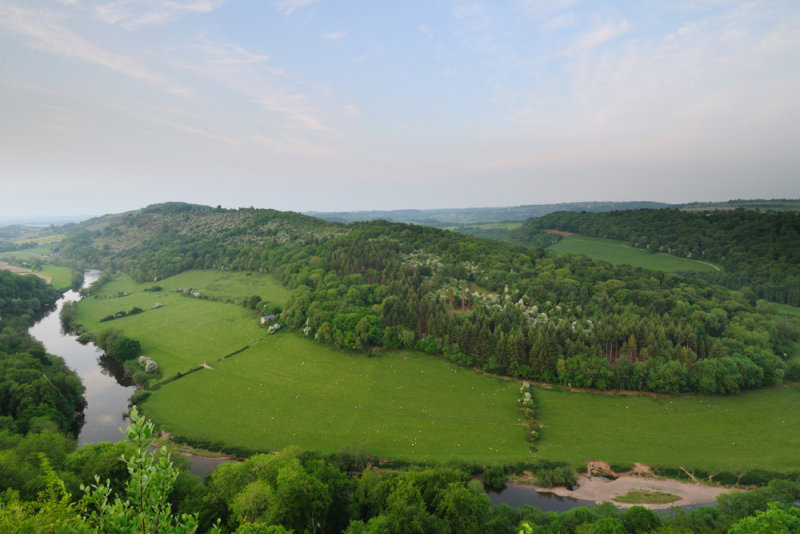 From Symonds Yat Rock  10_DSC_2616