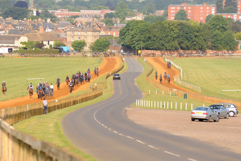 Bury Side Gallops, Newmarket  10_DSC_3214