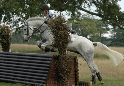 DSC_7160 Andrew Downes - Loughnatousa Gypsy Diamond