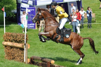 Nick Gauntlett on Chilli Morning  09_DSC_2597