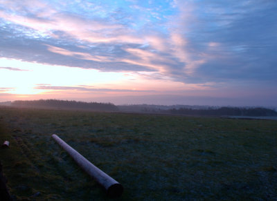 Frosty Morning DSC_5042