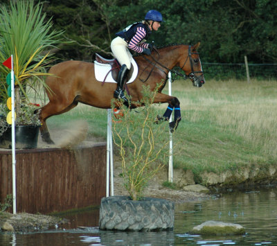 Unknown Horse and Rider  DSC_3364