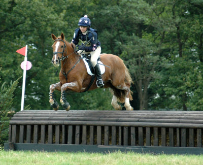 Unknown Horse and Rider  DSC_2759