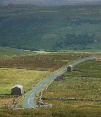 Swaledale from above Thwaites  DSC_1443