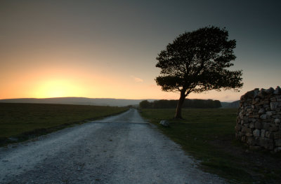 Malham Moor  DSC_7648