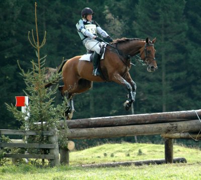 Unknown Horse and Rider  DSC_3816