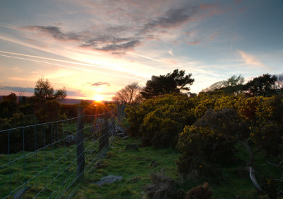 Sunset at Silver Hill  DSC_6753