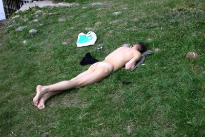 29.jpg