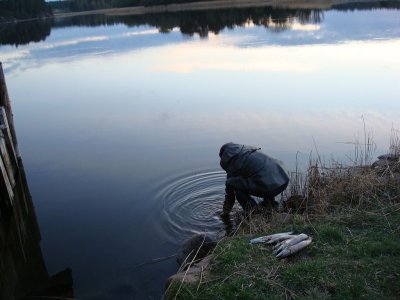80.jpg