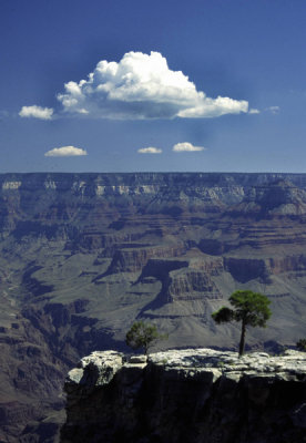 Grand Canyon USA 3