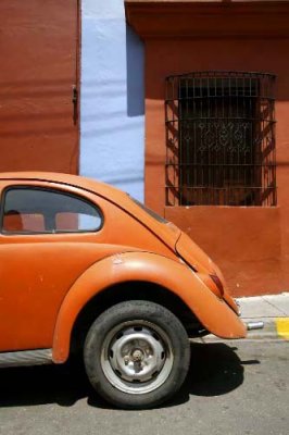 Beetle Coccinelle